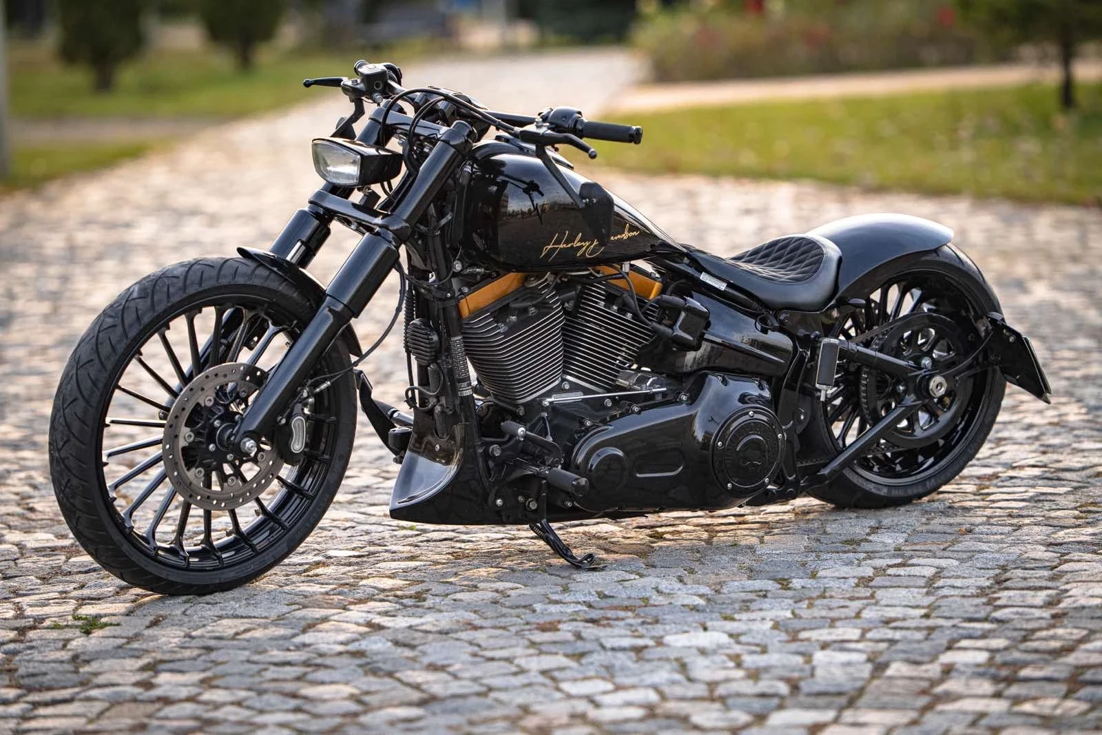 Harley-Davidson Softail FXSB Breakout custom - изображение 2