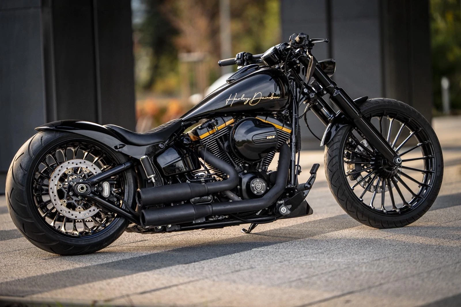 Harley-Davidson Softail FXSB Breakout custom - изображение 5