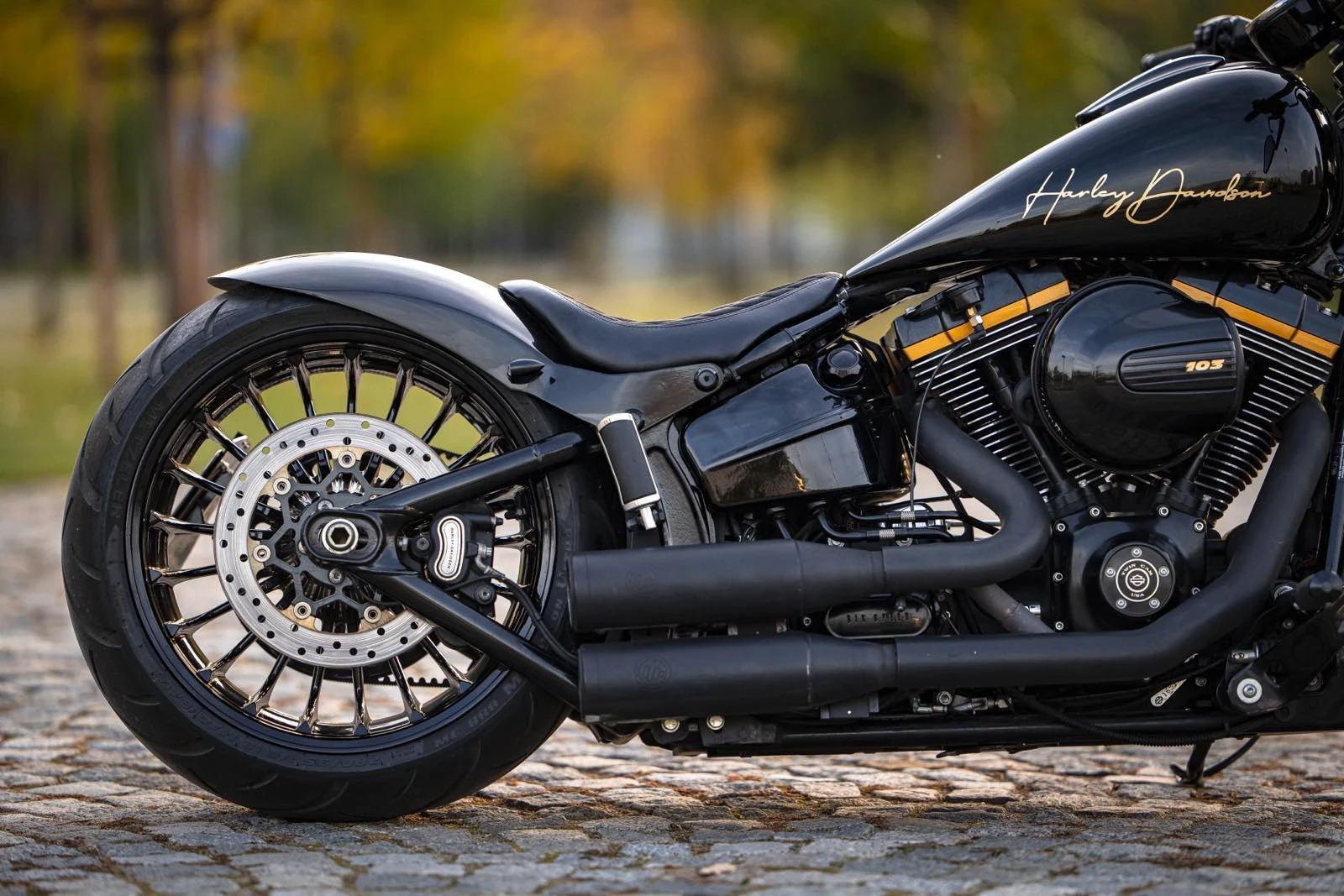 Harley-Davidson Softail FXSB Breakout custom - изображение 4