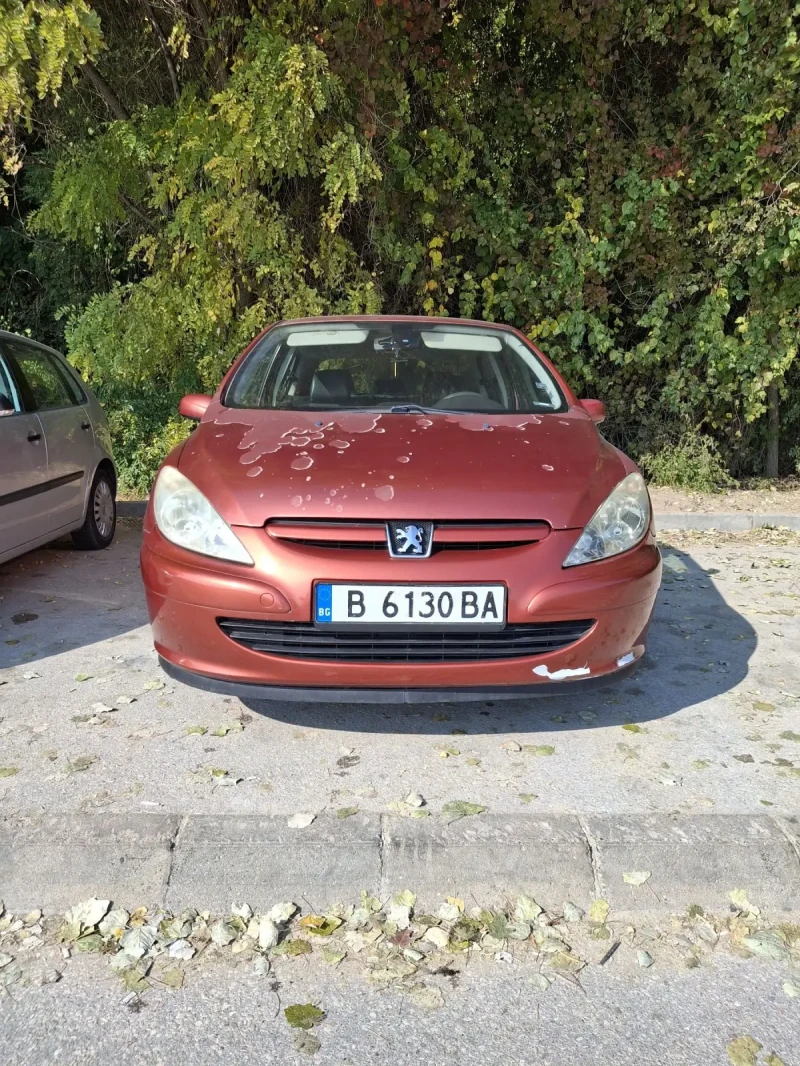 Peugeot 307, снимка 2 - Автомобили и джипове - 48337125