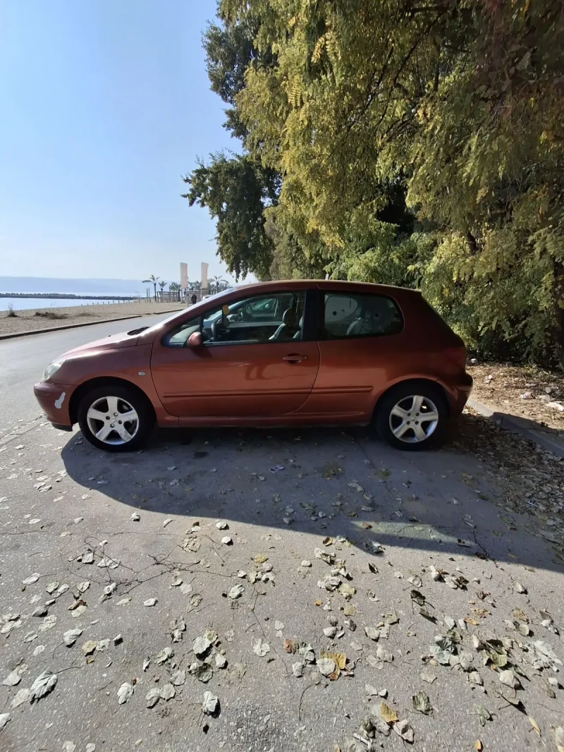 Peugeot 307, снимка 3 - Автомобили и джипове - 48337125