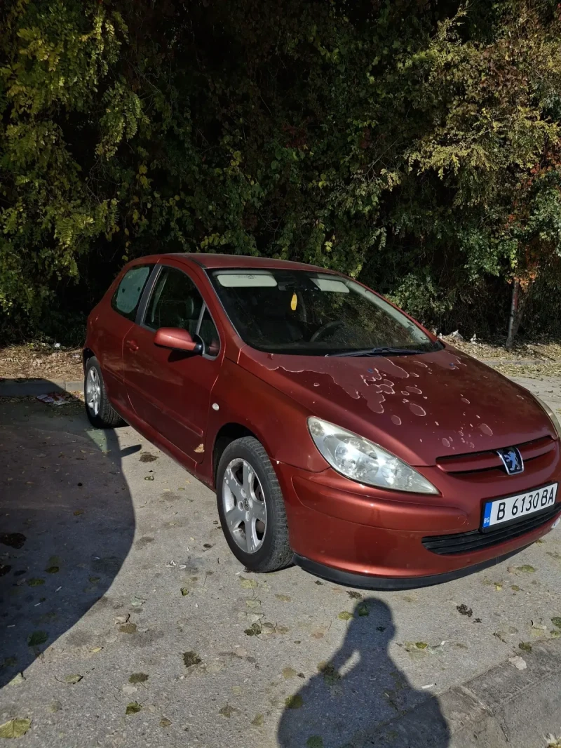 Peugeot 307, снимка 1 - Автомобили и джипове - 48337125