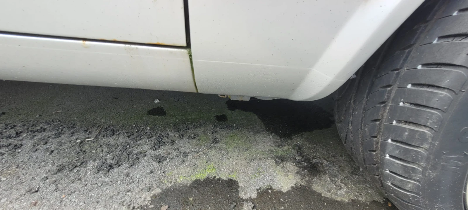 Alfa Romeo 6 | Mobile.bg   13