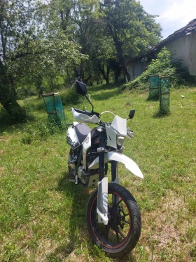 Sachs ZX ZZ, снимка 14