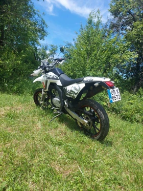 Sachs ZX ZZ, снимка 6