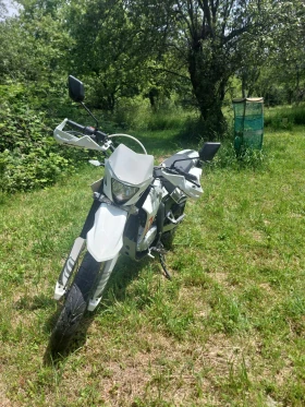 Sachs ZX ZZ, снимка 15