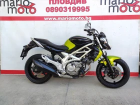  Suzuki Gladius
