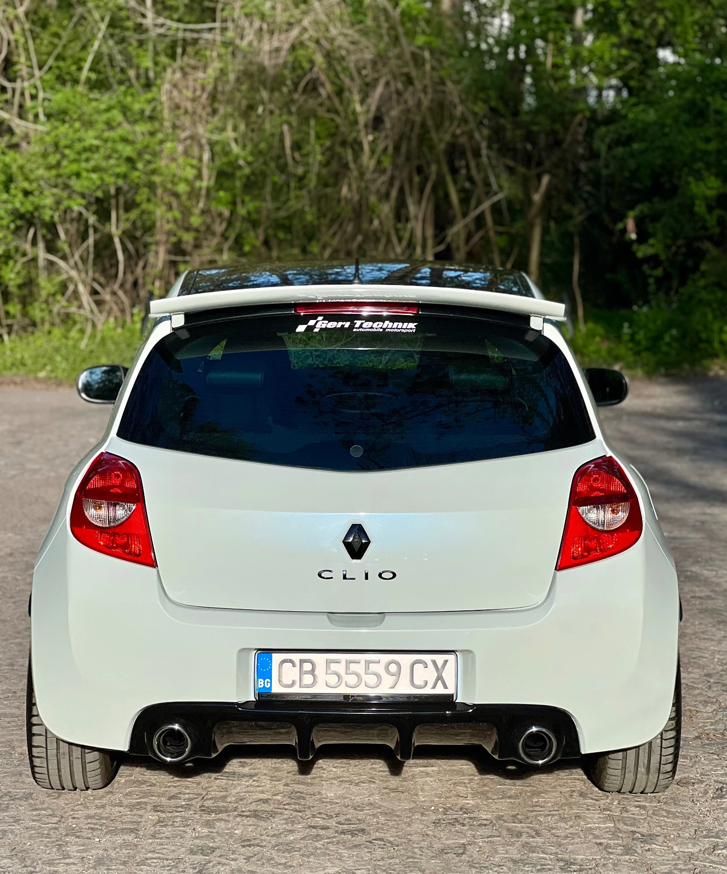 Renault Clio RS Limited Edition 164/666 - изображение 6