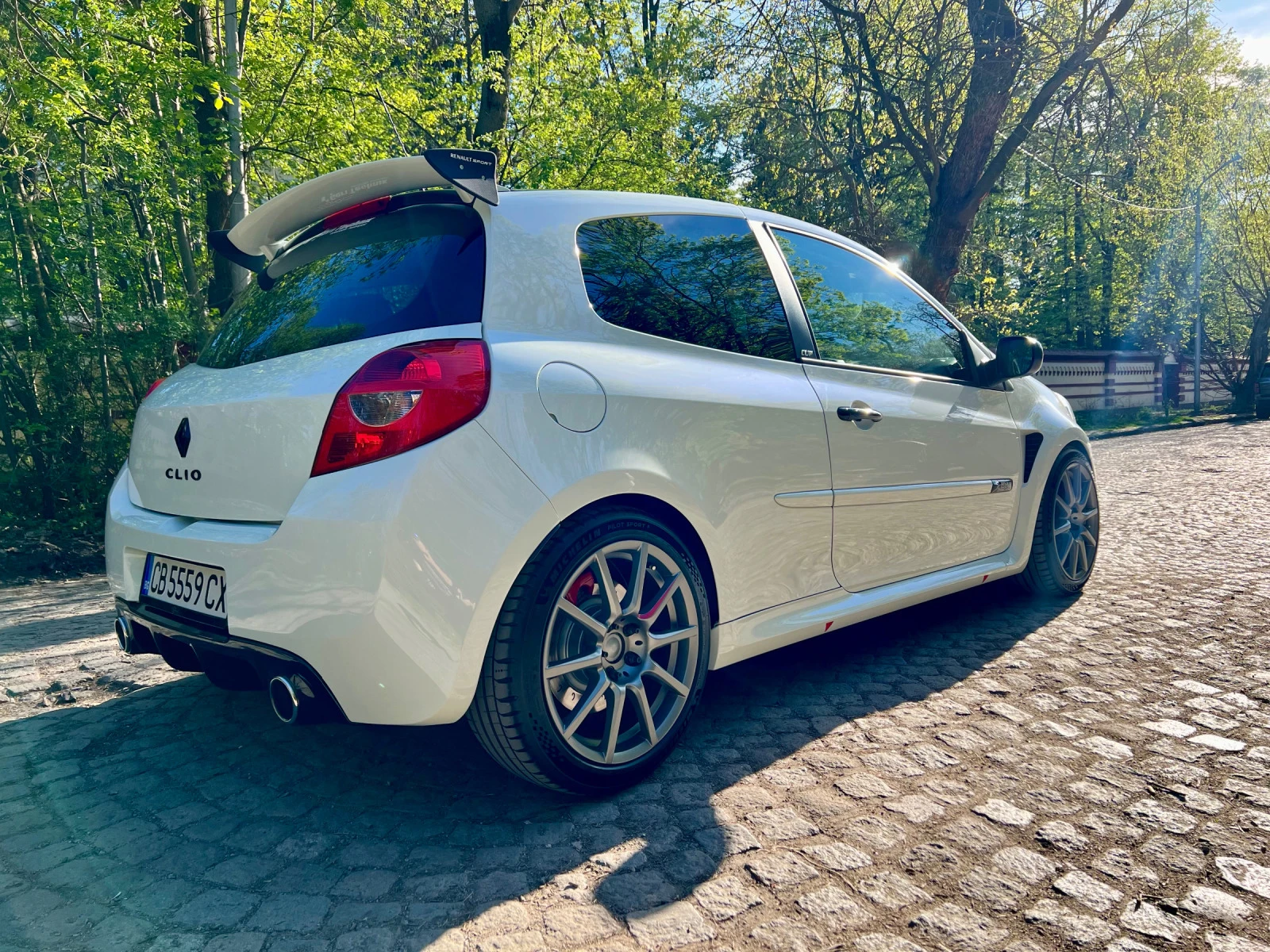 Renault Clio RS Limited Edition 164/666 - изображение 5