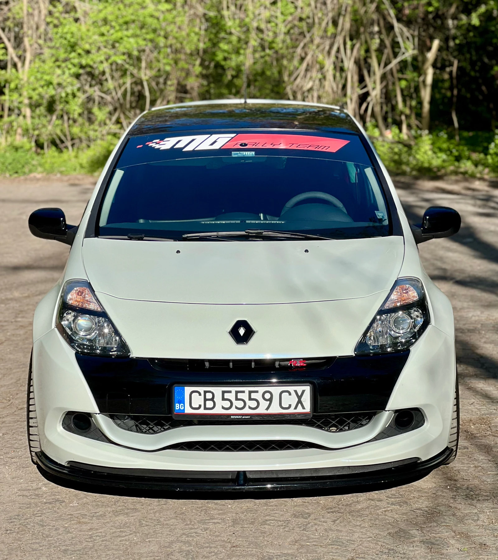 Renault Clio RS Limited Edition 164/666 - изображение 2