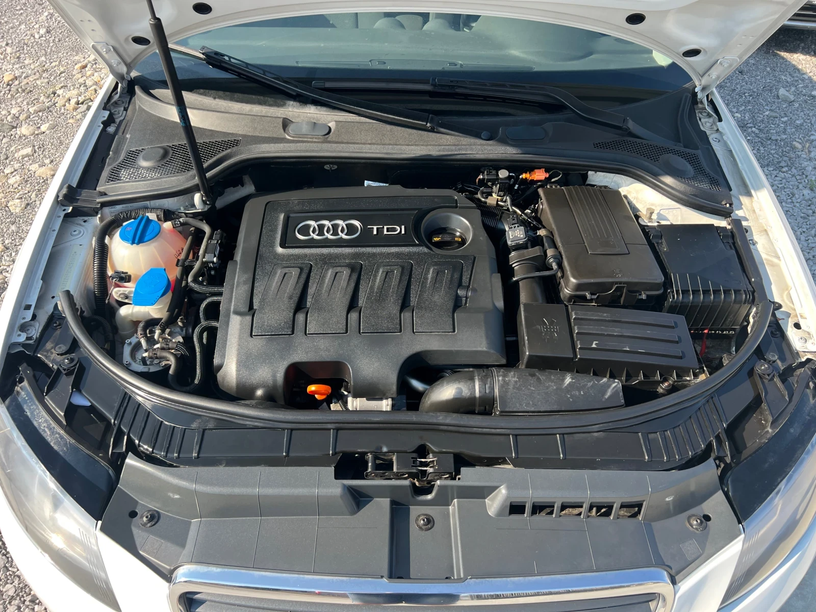 Audi A3 1.6TDI , снимка 15 - Автомобили и джипове - 55752029
