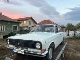    Volga 24