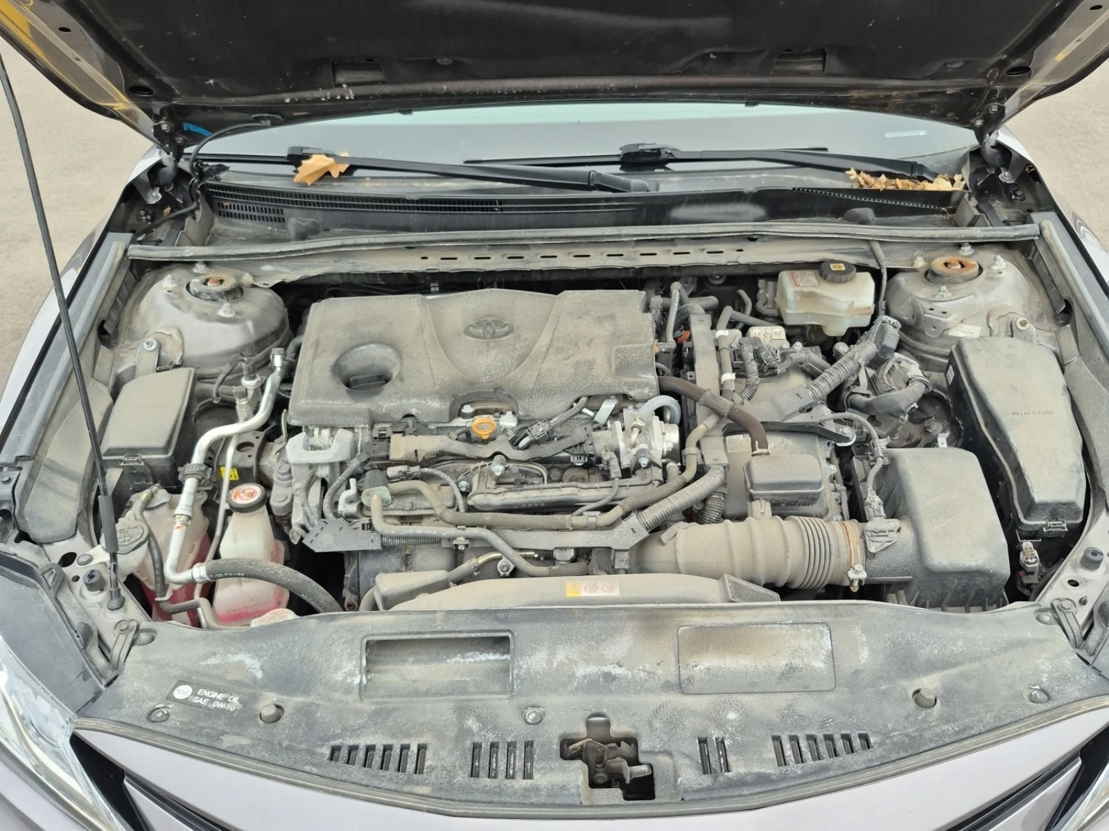 Toyota Camry XLE* ���������* �������* ������* �������*  | Mobile.bg � ����������� 15