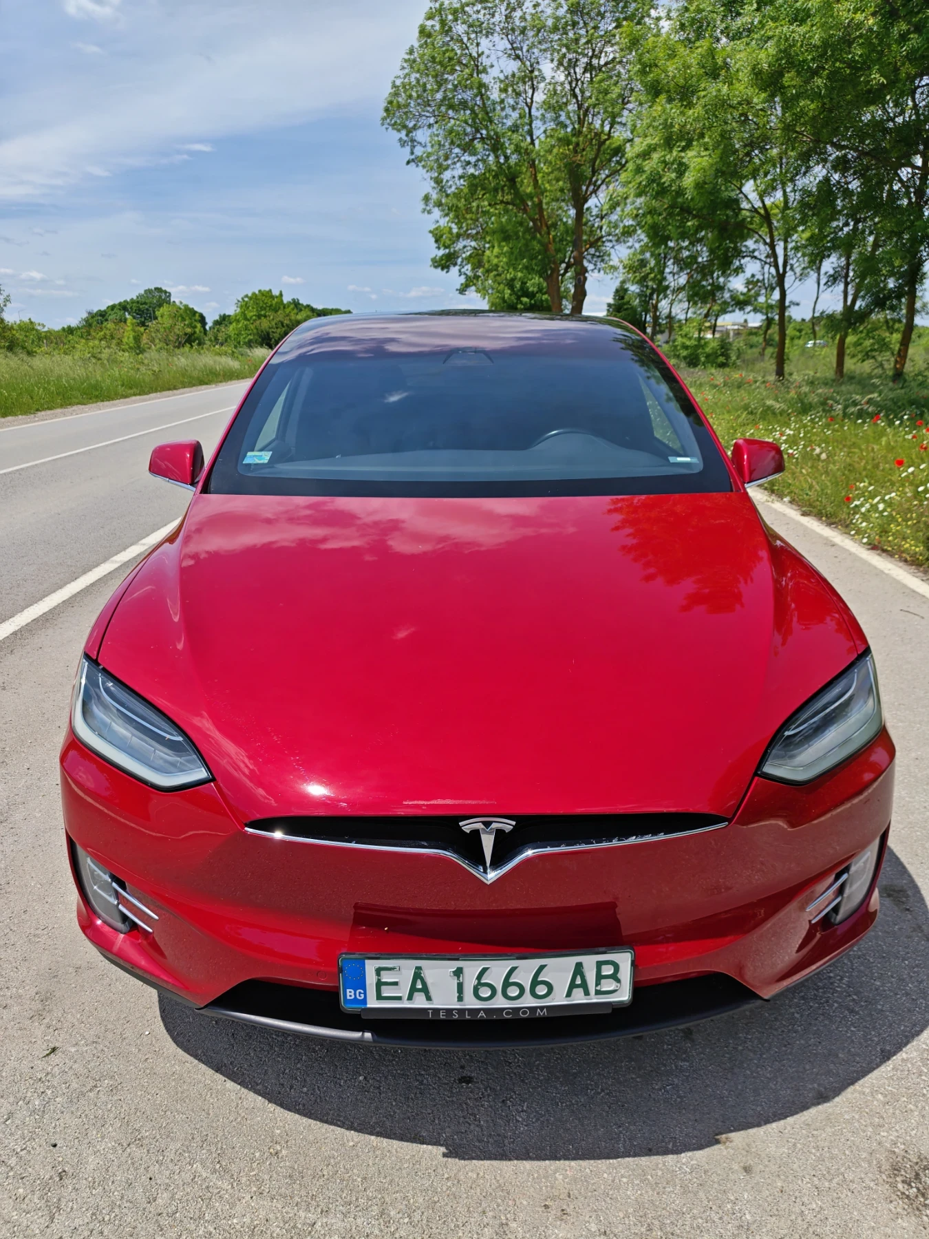 Tesla Model X Long Range Raven 