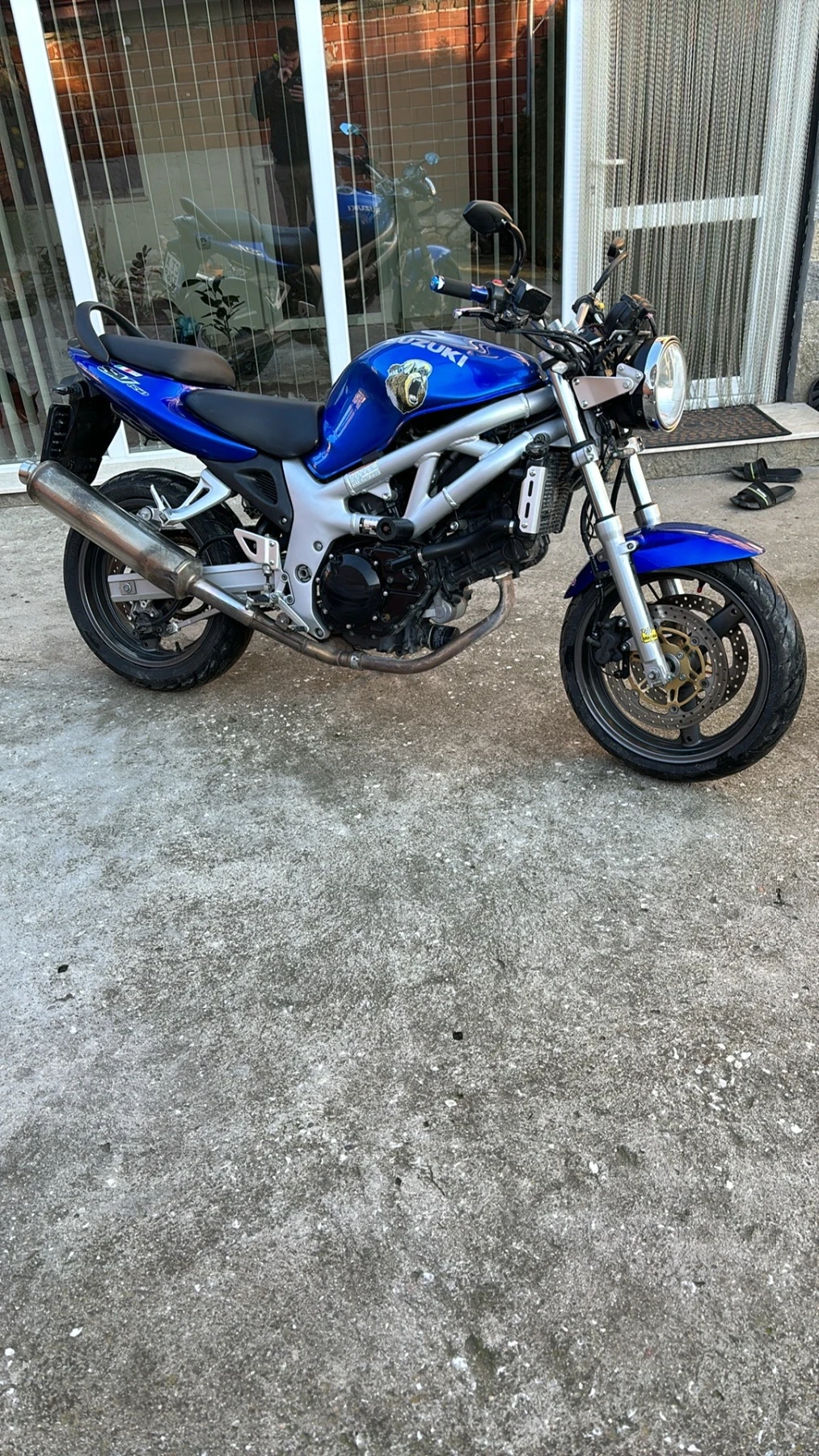 Suzuki SV  - изображение 2