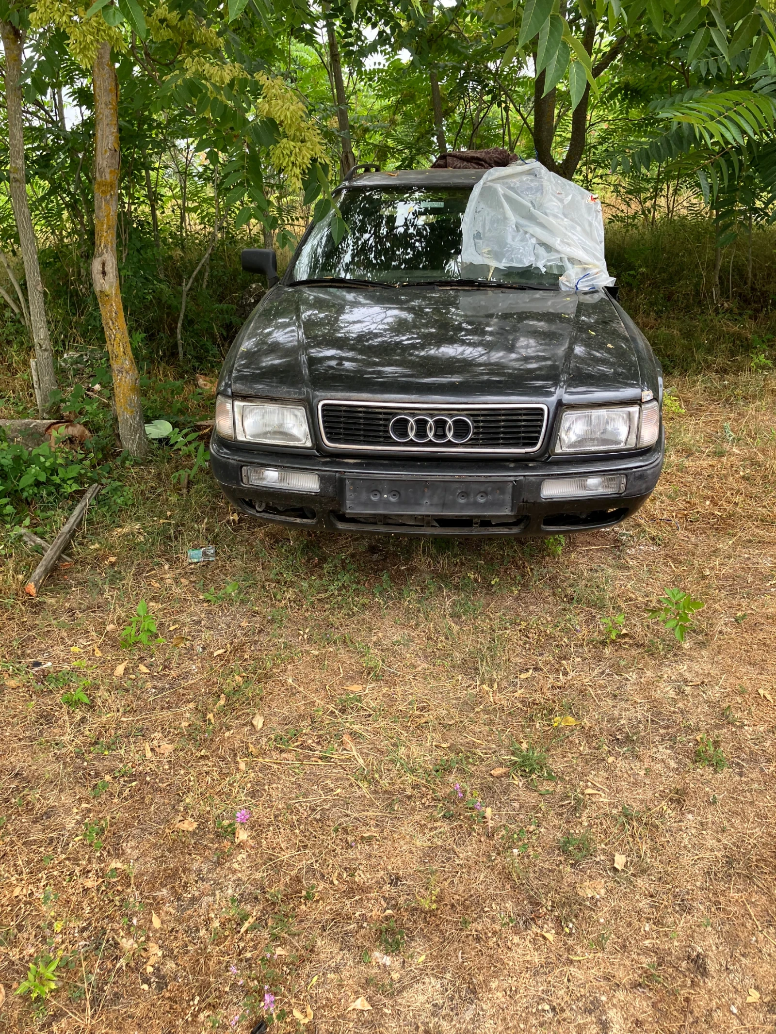 Audi 80