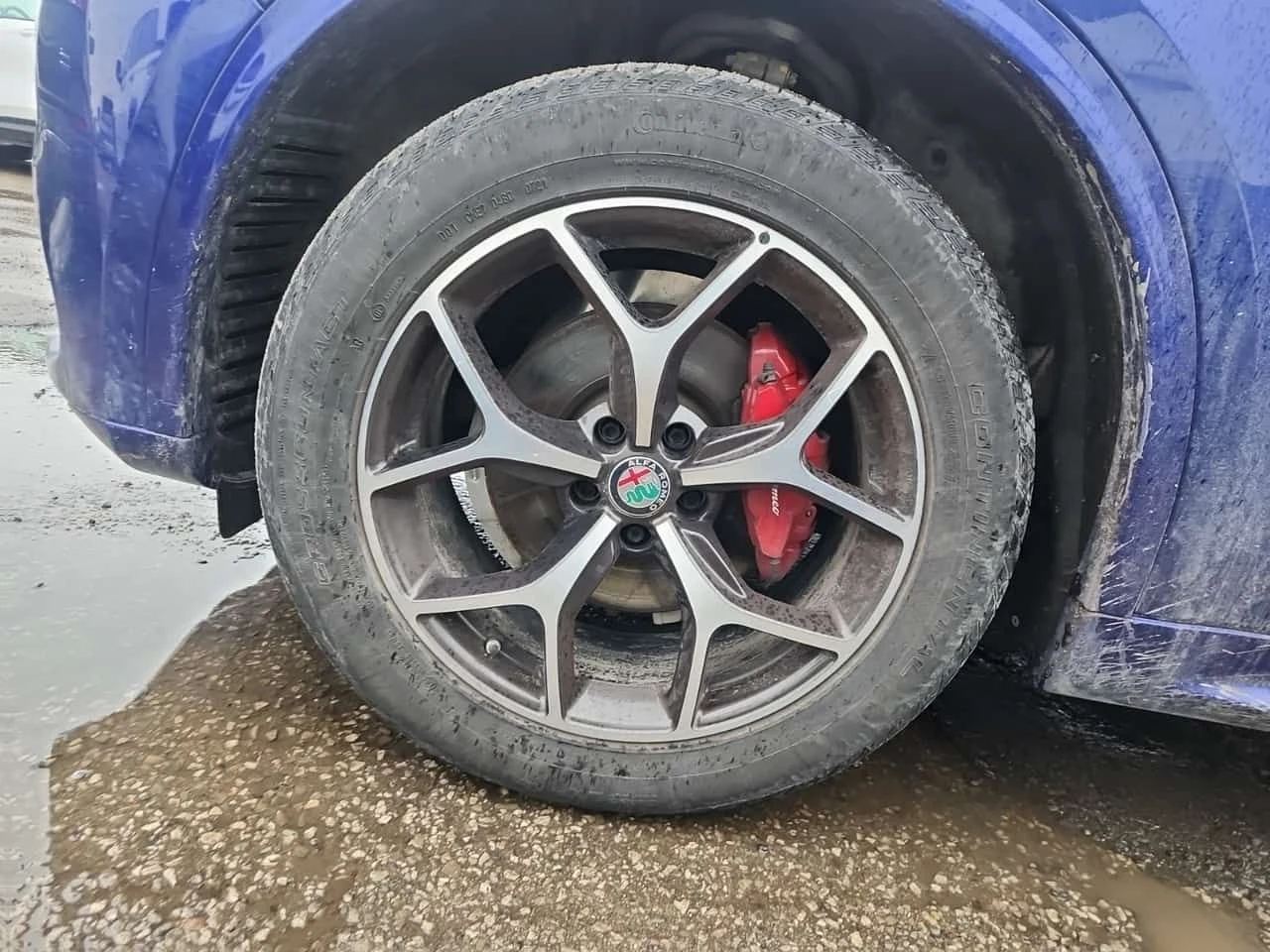 Alfa Romeo Stelvio TI / CARFAX / CAMERA/ПОДГРЕВИ, снимка 6 - Автомобили и джипове - 53947483