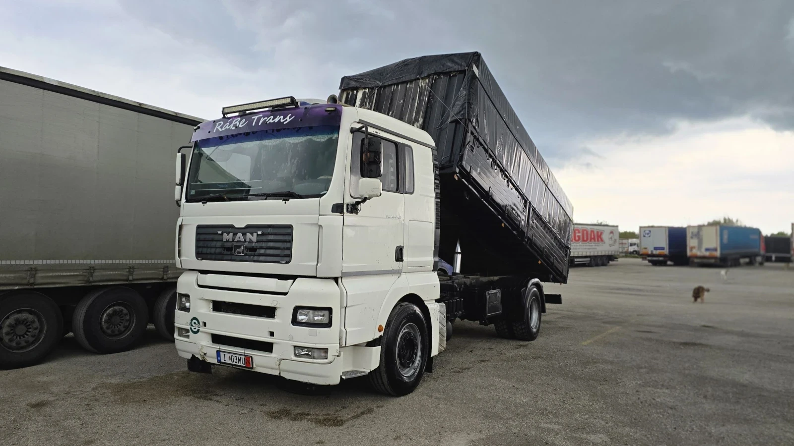 Man Tga 18.463 зърновоз - изображение 9