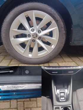 Skoda Octavia 2.0TDI/150к.с/4x4/Фабрична гаранция - 19685 € / 38500.51 лв. - 80689585 15