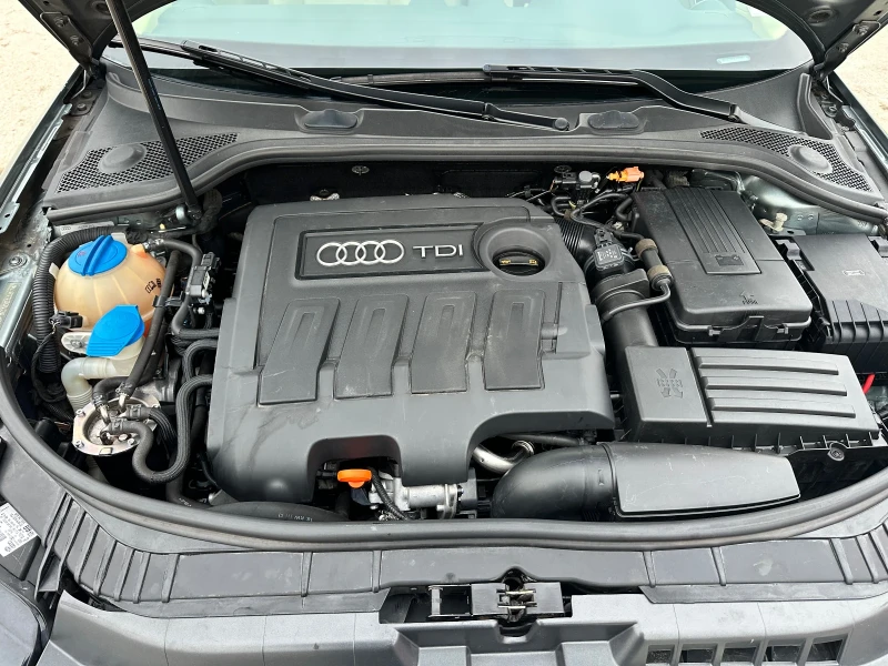 Audi A3, снимка 12 - Автомобили и джипове - 49496870