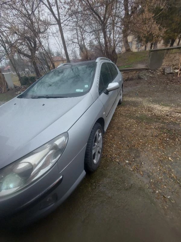 Peugeot 407 SW, снимка 3 - Автомобили и джипове - 49478685