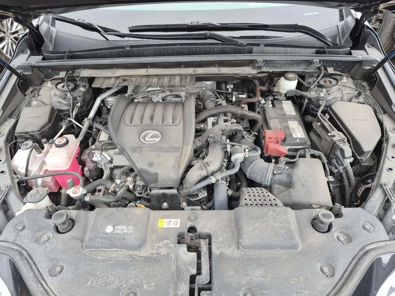 Lexus NX 350 F SPORT * Един собственик * Без инциденти * , снимка 13 - Автомобили и джипове - 54063975