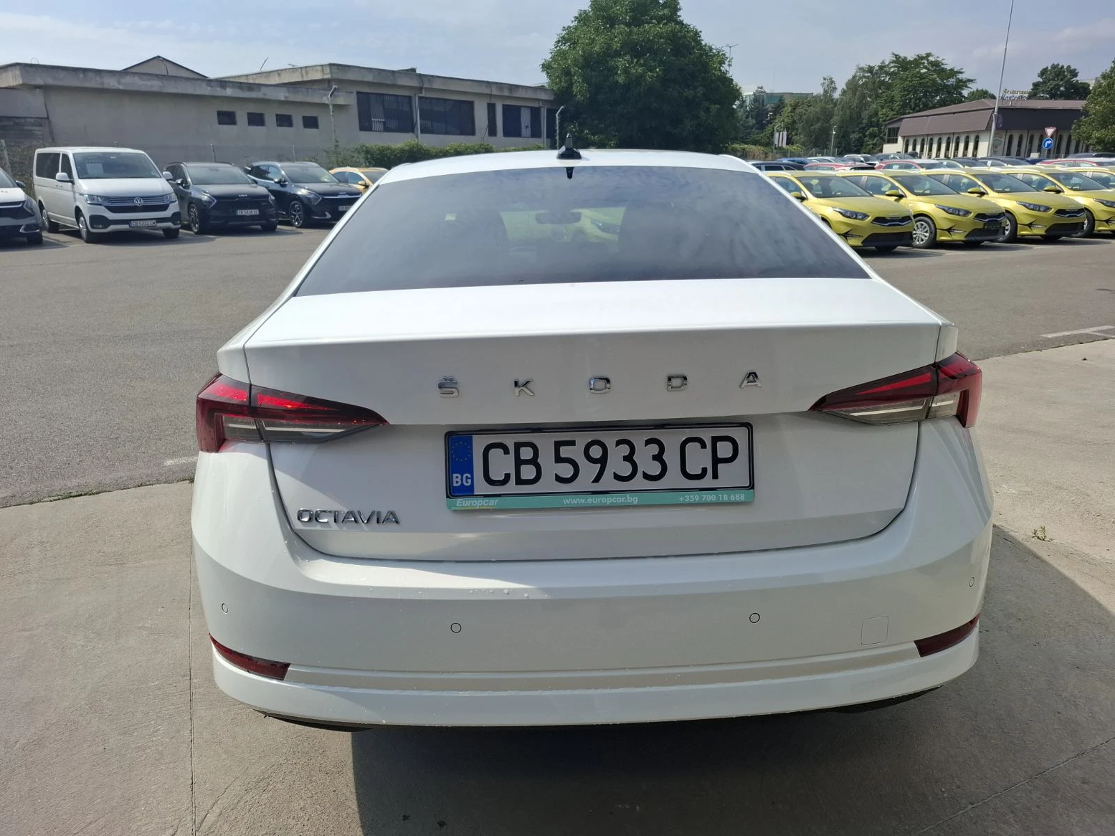 Skoda Octavia 1.5 tsi - изображение 5