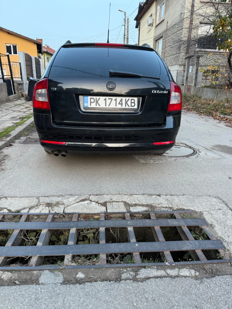 Skoda Octavia, снимка 5 - Автомобили и джипове - 52437904