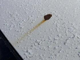 Toyota Rav4 * LE * CARFAX * ПОДГРЕВ * КАМЕРА * ПАМЕТ, снимка 10