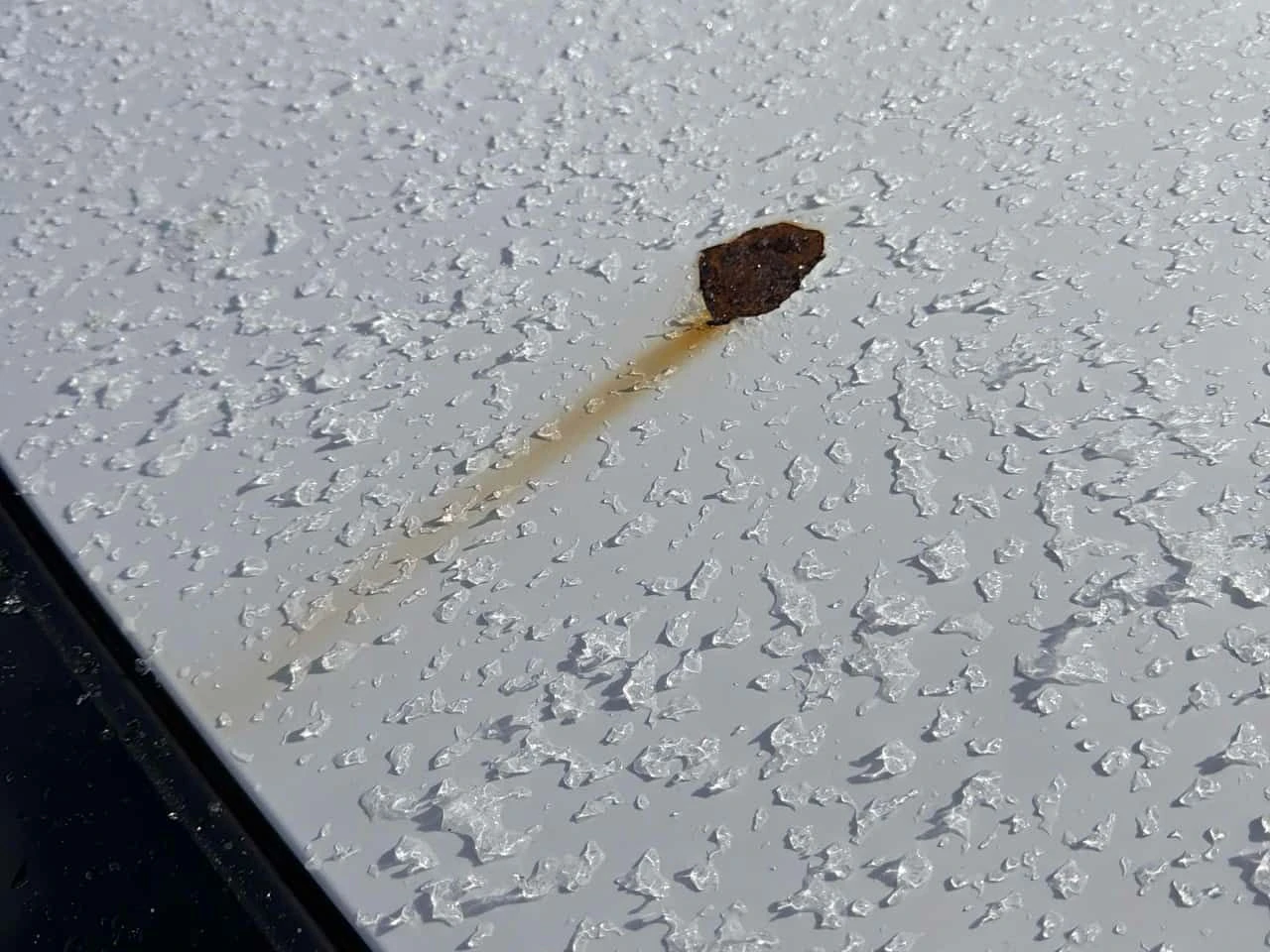 Toyota Rav4 * LE * CARFAX * ������� * ������ * ����� | Mobile.bg � ����������� 10