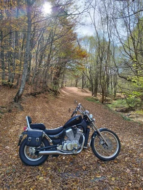    Suzuki VS Intruder