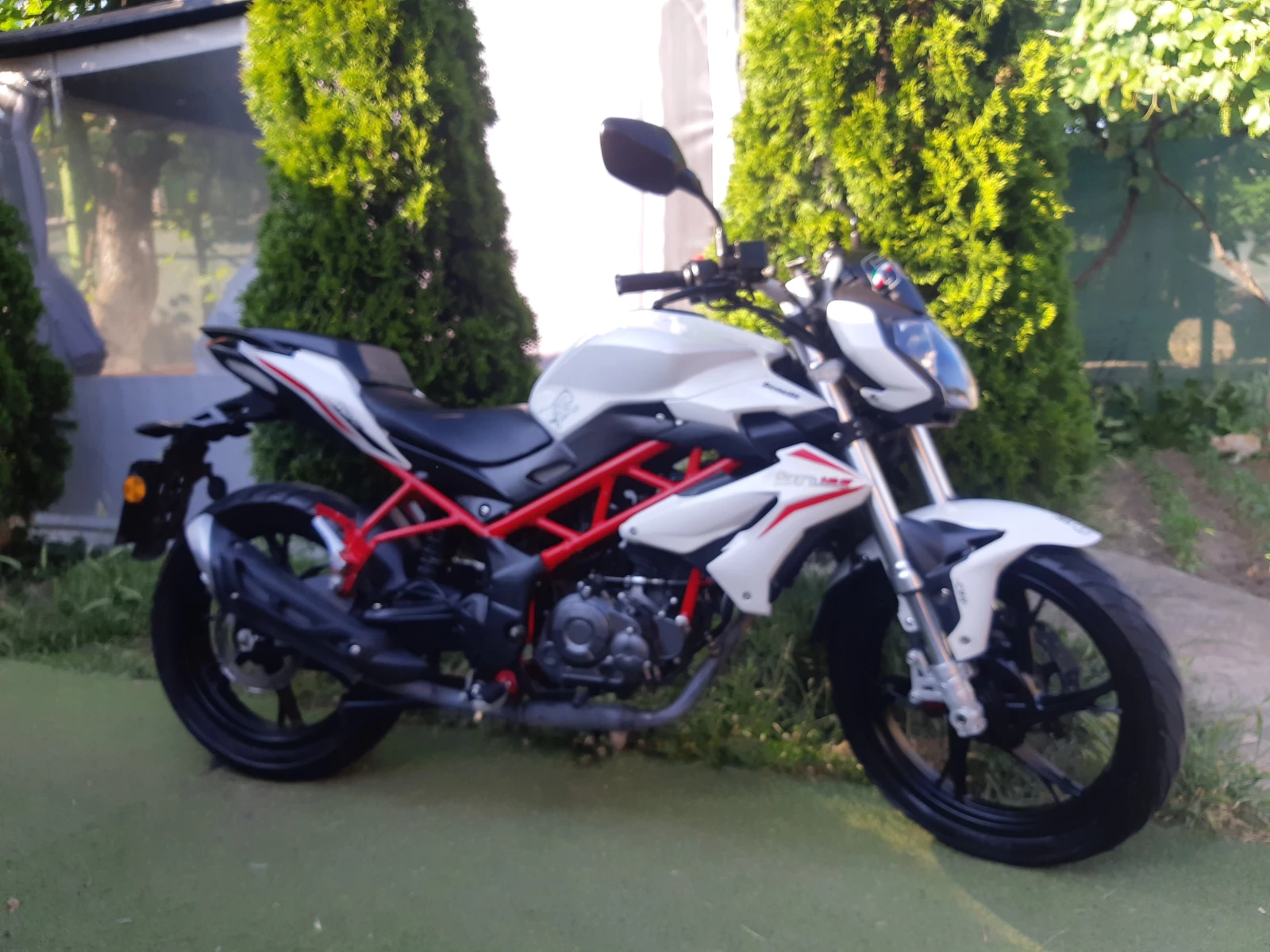 Benelli 125 Bn125i/А1 - изображение 2