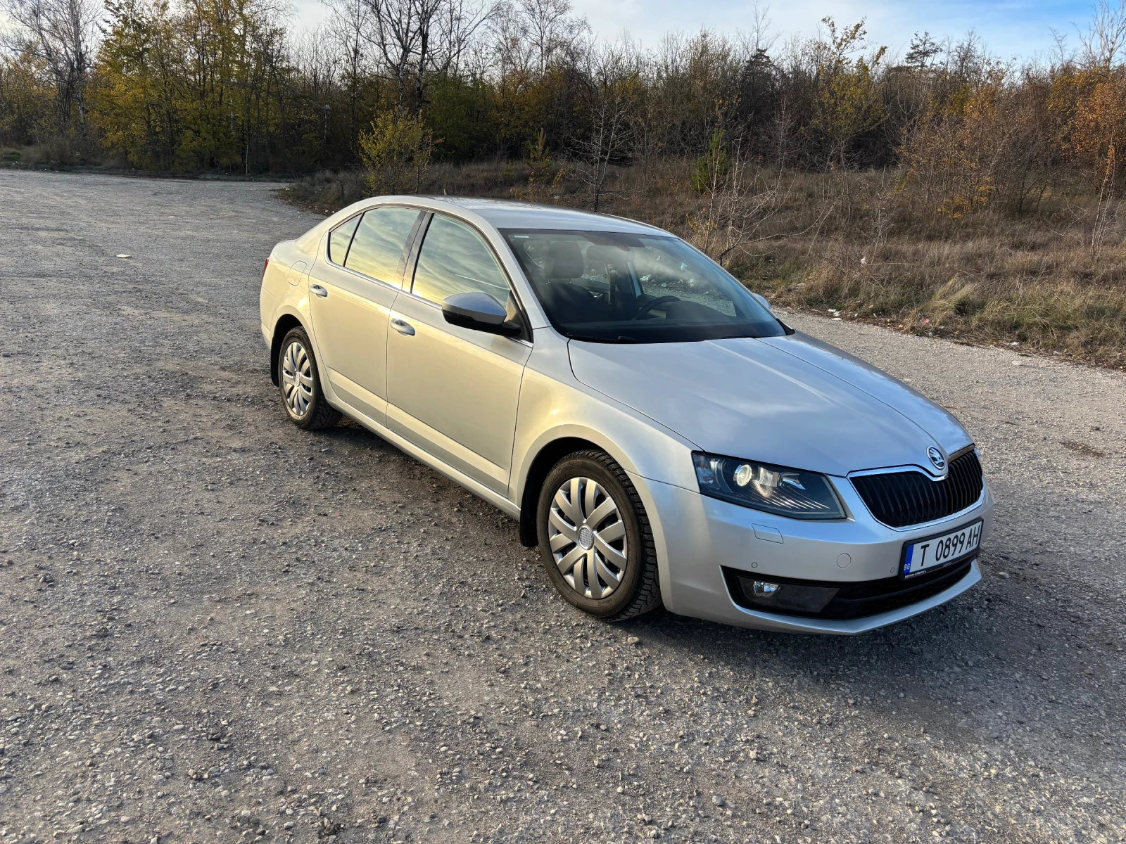 Skoda Octavia DSG7 - изображение 9