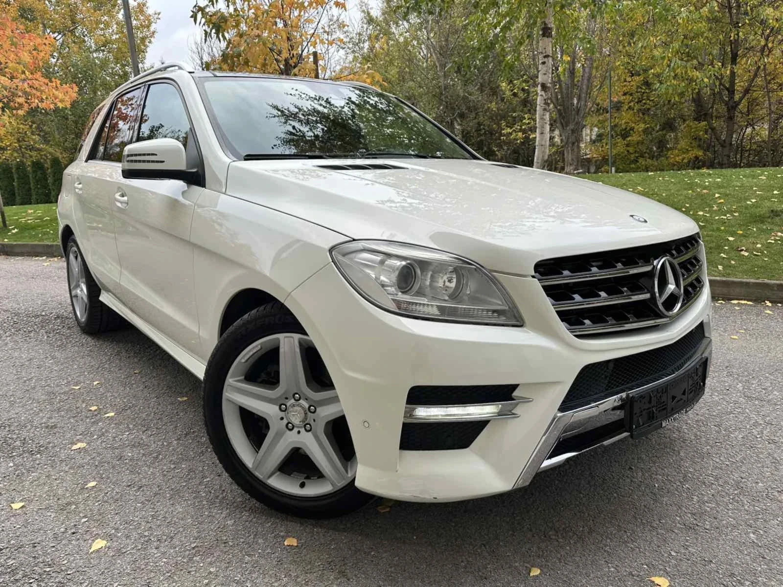 Mercedes-Benz ML 250 CDI / AMG LINE | Mobile.bg   1