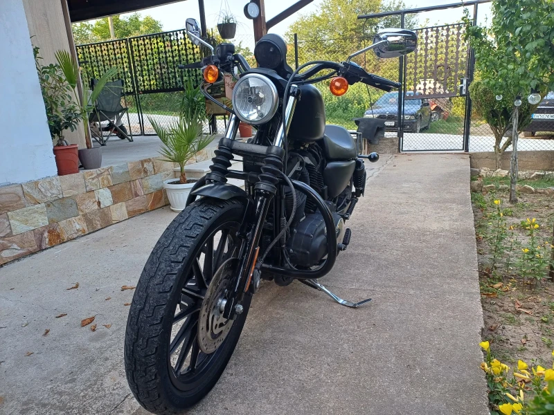 Harley-Davidson Sportster 883 IRON, снимка 4 - Мотоциклети и мототехника - 52755420