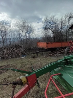 Друг вид Български, снимка 3