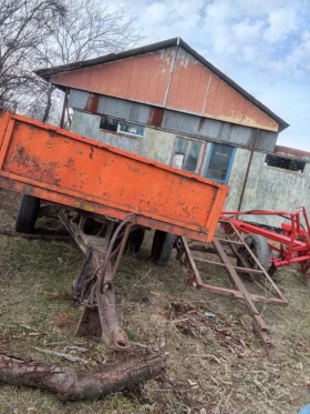 Друг вид Български, снимка 2