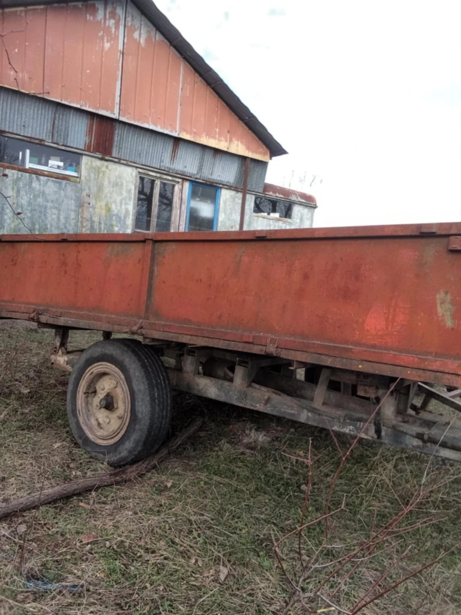 Друг вид Български, снимка 1