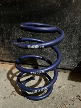 Голф 7 пружини (спортни) бензинова помпа, снимка 1