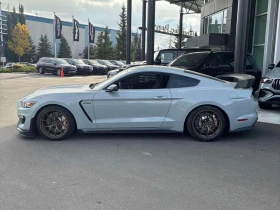 Ford Mustang * Shelby * CARFAX * ����� �� ����������� | Mobile.bg � ����� ������ 2
