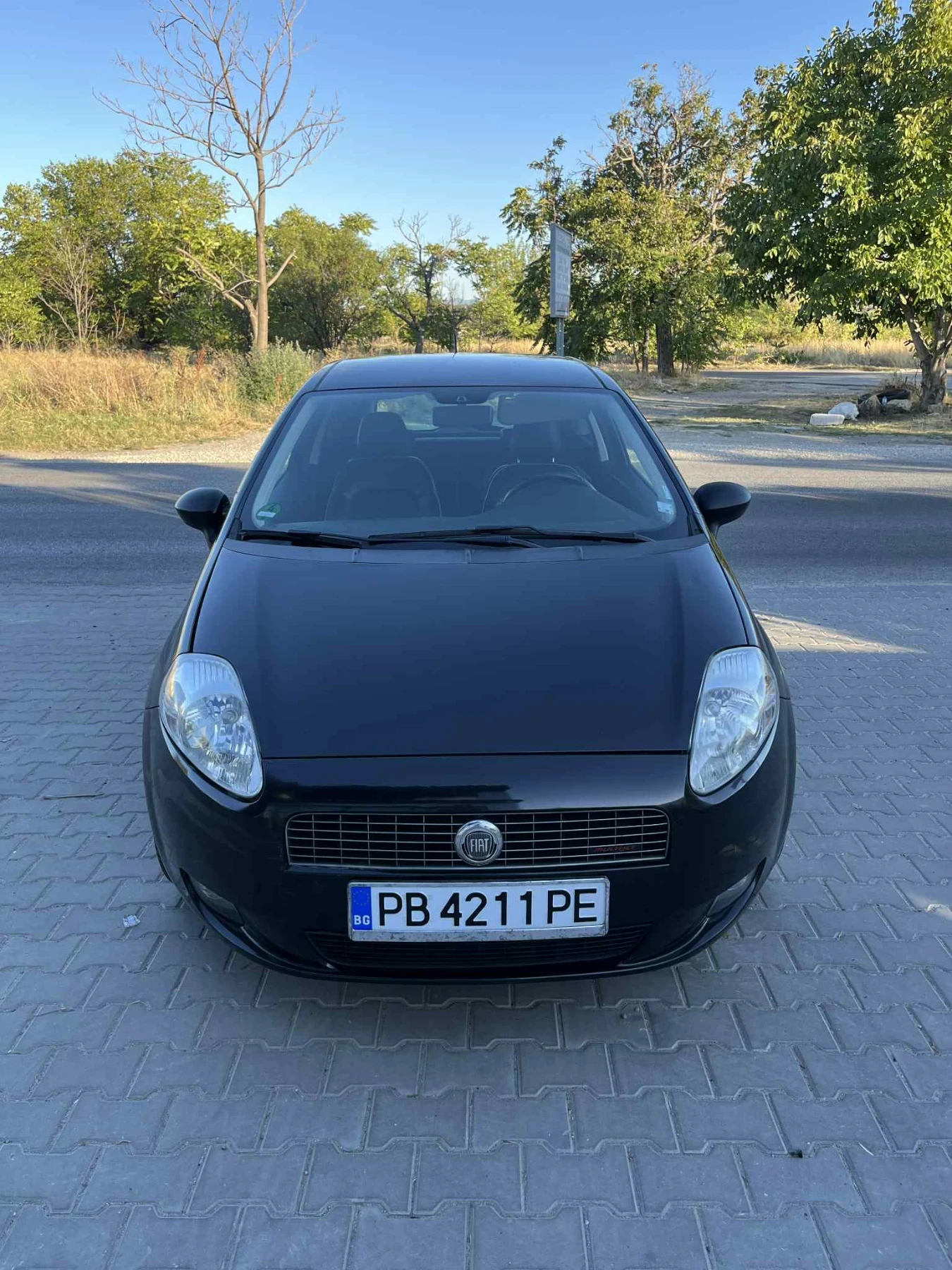 Fiat Punto Fiat Grande Punto 1.9 - изображение 2