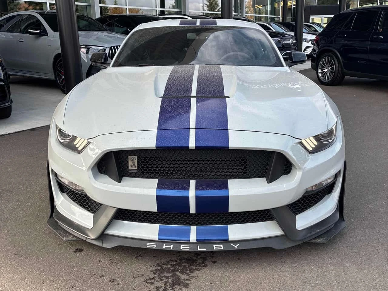 Ford Mustang * Shelby * CARFAX * ����� �� ����������� | Mobile.bg � ����������� 6