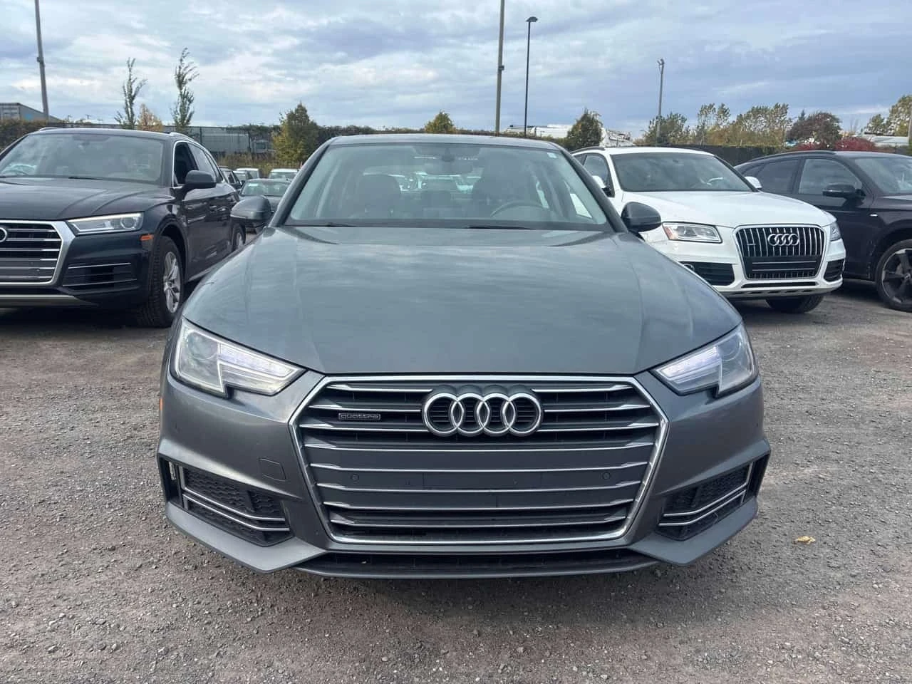 Audi A4 QUATTRO * ������ ���������������� �� AUDI*  | Mobile.bg � ����������� 2