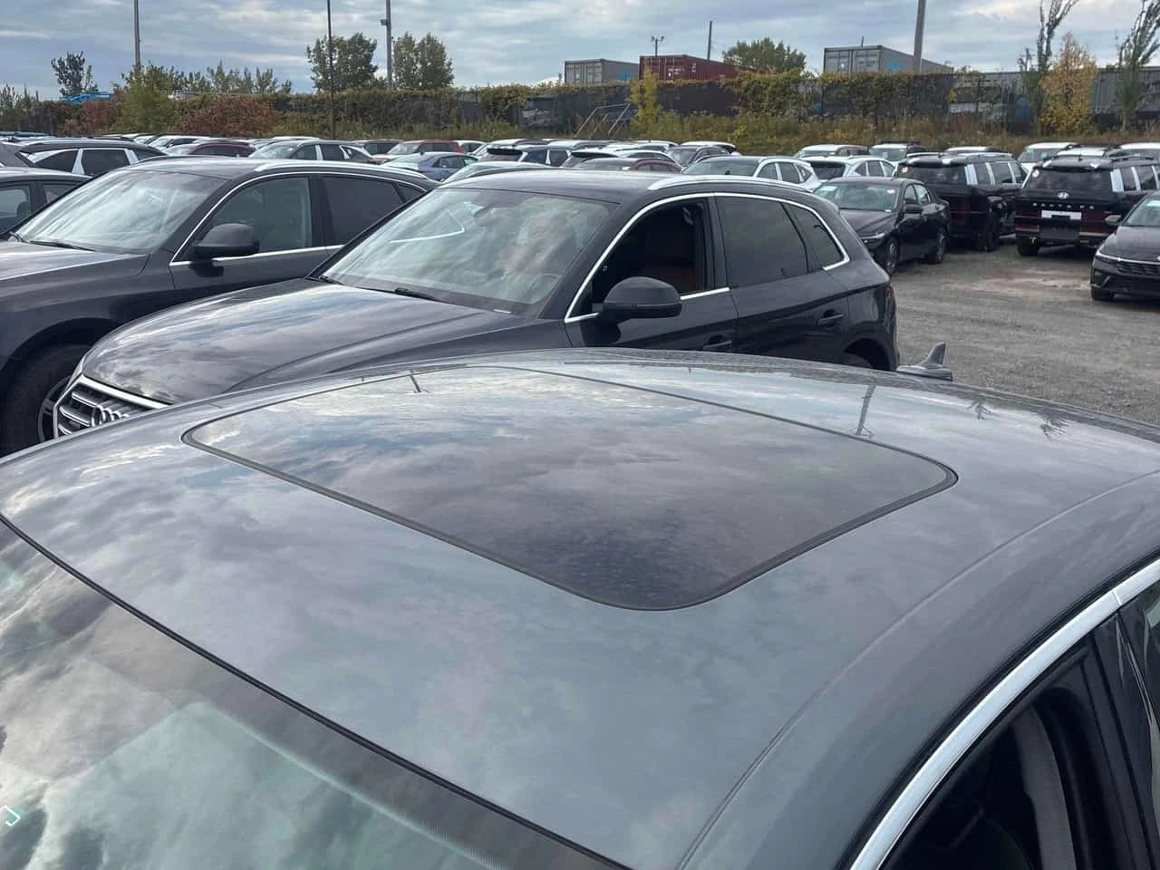 Audi A4 QUATTRO * ������ ���������������� �� AUDI*  | Mobile.bg � ����������� 14