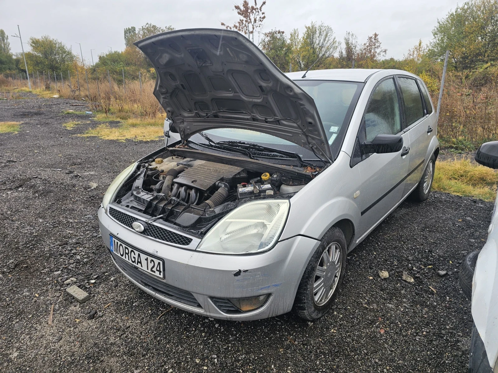 Ford Fiesta 1.25 на части , снимка 2 - Автомобили и джипове - 56512368