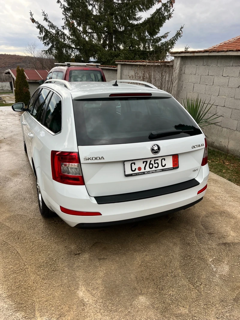 Skoda Octavia 1.6 TDI 4X4, снимка 4 - Автомобили и джипове - 53021176