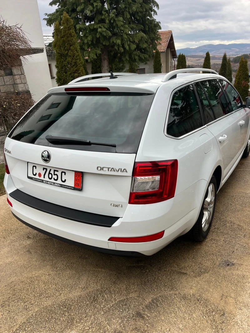 Skoda Octavia 1.6 TDI 4X4, снимка 3 - Автомобили и джипове - 53021176
