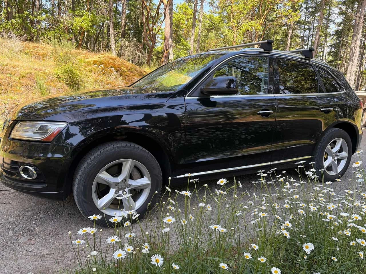 Audi Q5 * 3.0L TDI Progressiv* АВТОКРЕДИТ * , снимка 2 - Автомобили и джипове - 54952349