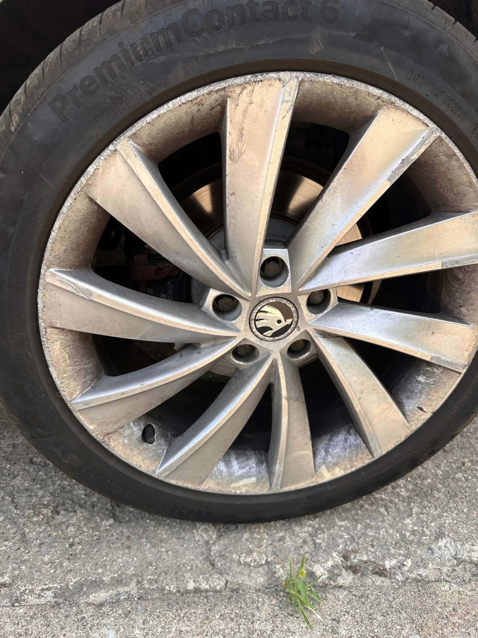 Skoda Superb 2.0tdi dsg | Mobile.bg   12