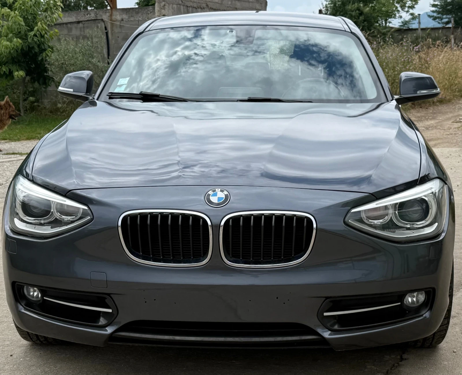 BMW 116 116d Sport
